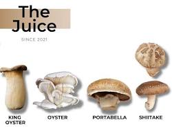 תמונה של Different types of Shimeji mushrooms