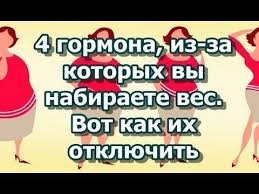 интуитивное питание как перестать беспокоиться о еде и похудеть 4 Gormona Iz Za Kotoryh Vy Nabiraete Ves Vot Kak Ih Otklyuchit Youtube Pohudenie Bystro Pohudet Fitnes Dieta