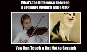 20 Violin Jokes Puns And Riddles Funny Cat Jokes Jokes Violin