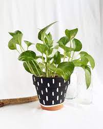 Hand Painted Terra Cotta Pot Black And White Painted Terra Etsy Plant Pot Diy Plant Pot Design Painted Plant Pots