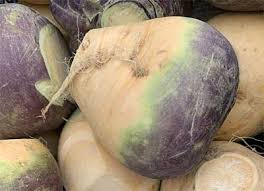 It depends, they're not toxic, but they're not particularly nutritious either. Can Dogs Eat Parsnips Dog Advice Center