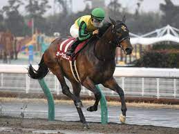 Say it loud 8 by yooxのcircular embroideryカプセルコレクション. æ±æµ·sçµæžœ ã‚ªãƒ¼ãƒ´ã‚§ãƒ«ãƒ‹ãƒ¥ãŒ3é€£å‹ã§é‡è³žåˆåˆ¶è¦‡ ç«¶é¦¬ãƒ‹ãƒ¥ãƒ¼ã‚¹ Netkeiba Com