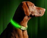 Check spelling or type a new query. Dog Collars For Labs Your Complete Guide On Lab Collar Sizes Styles More