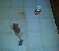Make Your Linoleum Floors Shine Linoleum Flooring Clean Linoleum Floors Cleaning Vinyl Floors