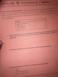 Solved Ovala3sthe Evolution Lab Mission 3 One Fish Two F Chegg Com