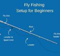 Fly Fishing: The Complete Guide for 2026