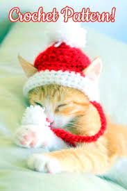 Cat Santa Hat Crochet Pattern Crochet Christmas Dog Hat Christmas Crochet Pattern Funny Cr Crochet Christmas Hats Halloween Crochet Patterns Crochet Cat Hat