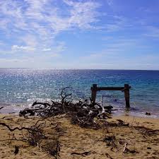 نتیجه جستجوی لغت [offing] در گوگل