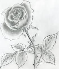 Pin On Drawing Flowers