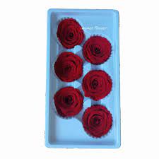45 days money back guarantee. Wholesale Glycerin Preserved Flowers Prervered Rose 4 5 Cm Buy Glycerin Preserved Flowers Prervered Fower Prervered Rose 4 5 Cm Product On Alibaba Com
