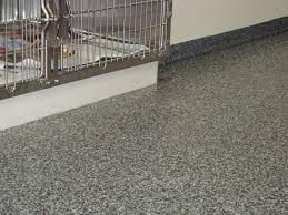 Veterinary Clinic Animal Hospitals Deckade Advanced Flooring Veterinary Clinic Animal Hospital Veterinary