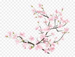 Download transparent cherry blossom png for free on pngkey.com. Japanese Clipart Japan Cherry Blossom Transparent Cherry Blossom Png Png Download Vhv