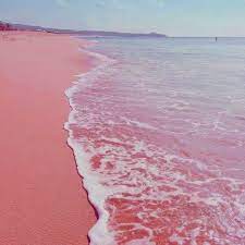 Pink sand beach on the atlantic side was beautiful. Michelle Pretty Collected On Instagram All Summer Nights Should Consist Of Watching The Sunset At T Pink Sand Beach Pink Sand Beach Bahamas Pretty Beach