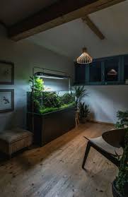 Fishing Aquarium Landscape Aquarium Design Aquascape