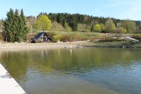 Wlan steht ihnen im hotel kostenfrei zur verfügung. Kurpark Brilon Sauerland Verzeichnis
