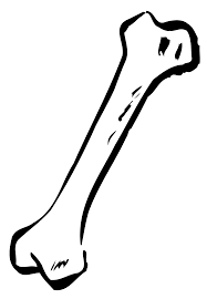From tari pemusnah kuasa by sial. Maksud Biar Putih Tulang Jangan Putih Mata