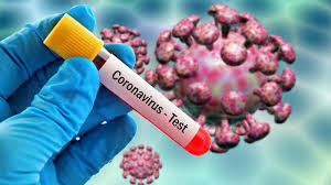 Image result for images of novel coronavirus