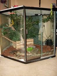 Pin By Mariangeles Ch J On Nature S Creatures Reptile Cage Snake Terrarium Snake Cages