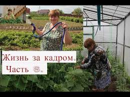 во саду ли в огороде юлия миняева посадка чеснока Zhizn Za Kadrom Chast 6 Kinolyapy Ot Vo Sadu Li V Ogorode Youtube