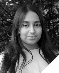 Smart Innovators: Control Of Work Software