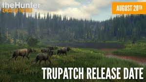 Tru Patch Release Date Patch Notes Reveal Thehunter Call