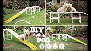 Doggy Olympics 7 Agility Exercises Asda Money