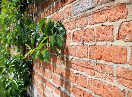 We did not find results for: Gartenmauer Trockenmauer Und Mortelmauer Im Vergleich