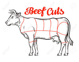 Vector Beef Chart Meat Cuts Or Butcher Shop