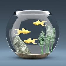 Aquarium Equipped Decorations 3d Model Decor 3d Model Model