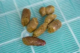 シェアリングテクノロジー株式会社