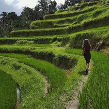 Selfie cantik marshanda disebut stres diminta berhijab. Inspirasi Gaya Foto Instagenic Di Sawah Tempat Main Masa Kecil Yang Kini Terasa Wah