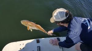 Near Shore Reef Fishing Review Of Atlantic Breeze Charters