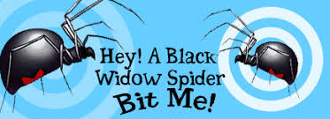 But if you think you've been bitten by this spider, make an appointment to. Kidshealth Hey A Black Widow Spider Bit Me Akron Children S Hospital