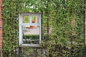 Das Fenster In Der Hecke Hecke Fenster Stallfenster