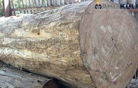 Cek aneka rekomendasi papan kayu lebar terlengkap & terbaik lainnya. 4 Harga Kayu Jati Semua Ukuran Terlengkap 2021 Ahlikuli