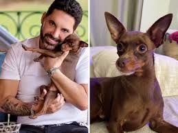 Após quase uma semana de buscas, cachorrinho de Edson, da dupla com Hudson, é encontrado morto: 'Vazio irreparável'