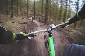 Mountainside loop, kingdom trails, vermont. 12 Best Mountain Bike Trails In America Hiconsumption