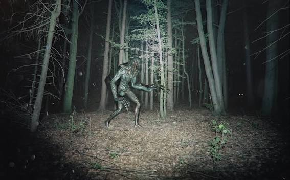 Pablo Munoz Artwork - Night Creature
