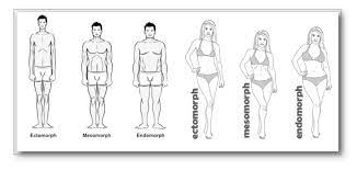 We did not find results for: 3 Male Female Body Types Explained By Tee Major Medium