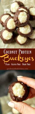 Coconut Protein Buckeyes Garden In The Kitchen Recipe Paleo Recipes Dessert Coconut Protein Food