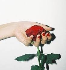 Gambar Hati Bunga Mawar Ini Untukmu Sang Pemain Hati Setiap Bunga Punya Makna Yang Berbeda Jangan Sampai Salah Sangka Mawar A Gambar Bunga Menggambar Hati
