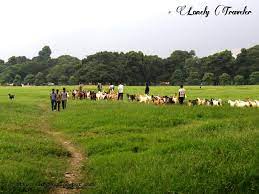 Visiting Gorer Math Kolkata Lonely Traveler 2 tracks | 2 albums. visiting gorer math kolkata lonely