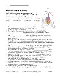 The digestive system is one of the vital systems of all living beings. Digestive System Vocabulary Worksheet