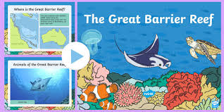 Coral reefs are important for many different reasons aside from supposedly containing the most diverse ecosystems on the planet. The Great Barrier Reef Powerpoint Enviroweek Australia