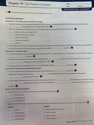 Solved Chapter 19 The Endocrine System Secco Chegg Com