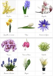Diy Montessori Fleurs Du Printemps Fleurs Printemps Fleurs Printemps Maternelle Fleurs