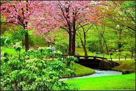 The Japanese Gardens In Hasselt Belgium Belgium Travel Visit Belgium Belgium