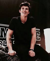 Pin By Nolose On Shawn Mendes Shawn Shawn Mendes Imagines Shawn Mendes Tour