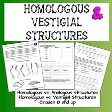 Evolution Homologous And Vestigial Structures Evolution Activities Teaching Science Science Biology