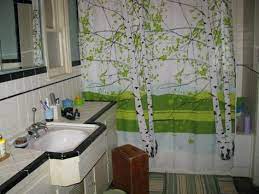 Cam Mitchell S Bathroom My Kaiku Shower Curtain Should I Paint My Walls A Blue Like That Antique Bathroom Ideas Modern Family Bathrooms Remodel